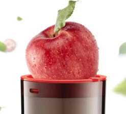 KUVINGS WHOLE SLOW JUICER JSG-721R (Red)【Japan Domestic Genuine Products -Appliantrix Cheap Store 614D8tZgJQL. AC SL1200