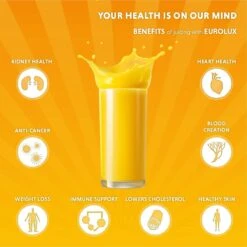 Eurolux Electric Citrus Juicer Squeezer, For Orange, Lemon, Grapefruit, Stainless Steel 160 Watts Of Power Soft Grip Handle And Cone Lid For Easy Use (ELCJ-1700S) 11 Eurolux Electric Citrus Juicer Squeezer, For Orange, Lemon, Grapefruit, Stainless Steel 160 Watts Of Power Soft Grip Handle And Cone Lid For Easy Use (ELCJ-1700S) -Appliantrix Cheap Store 619LMDAYtbL. AC SL1201