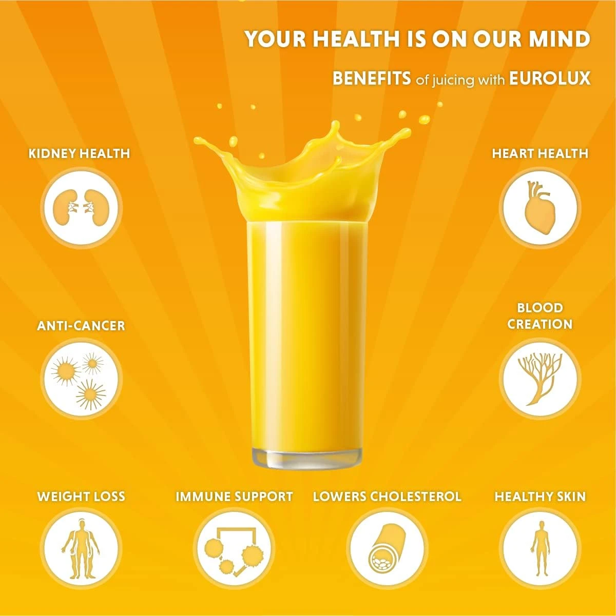 Eurolux Electric Citrus Juicer Squeezer, For Orange, Lemon, Grapefruit, Stainless Steel 160 Watts Of Power Soft Grip Handle And Cone Lid For Easy Use (ELCJ-1700S) 5 Eurolux Electric Citrus Juicer Squeezer, For Orange, Lemon, Grapefruit, Stainless Steel 160 Watts Of Power Soft Grip Handle And Cone Lid For Easy Use (ELCJ-1700S) - Image 5