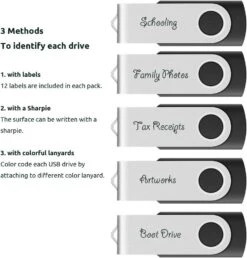 Enfain 2GB USB 2.0 Black Flash Drives Bulk 10 Pack Small Capacity Thumb Drives Swivel Zip Drive Jump Drive Memory Sticks, With 12 White Labels For Marking -Appliantrix Cheap Store 61FWpHcA5L. AC SL1000