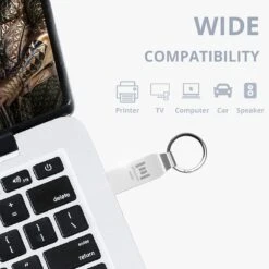 MOSDART 64GB Waterproof Metal USB 2.0 Flash Drive - Keychain Thumb Drive Memory Stick Jump Drive Data Storage For Computers - ExFAT, Shockproof And Dustproof (Silver) -Appliantrix Cheap Store 61Z1XfISHEL. AC SL1200