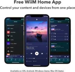 WiiM Mini AirPlay2 Wireless Audio Streamer, Multiroom Stereo, Preamplifier, Works With Alexa And Siri Voice Assistants, Stream Hi-Res Audio From Spotify, Amazon Music And More -Appliantrix Cheap Store 712arhKkL. AC SL1500