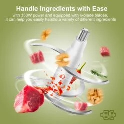 Wancle Food Processor, Multi-Functional Electric Food Chopper, Vegetable Chopper, One-Touch Operation, Quiet, 350W, 600ML Baby Food Maker For Grinding, Mixing, Whisking In Kitchen -Appliantrix Cheap Store 71TyD7Sm4XL. AC SL1500