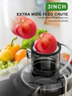 Juicer Machine, 500W Juicer With 3” Wide Mouth For Whole Fruits And Veg, Centrifugal Juice Extractor With 3-Speed Setting, Easy To Clean, Stainless Steel, BPA Free -Appliantrix Cheap Store 71fNFRIA7gL. AC SL1500
