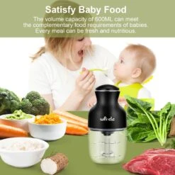 Wancle Food Processor, Multi-Functional Electric Food Chopper, Vegetable Chopper, One-Touch Operation, Quiet, 350W, 600ML Baby Food Maker For Grinding, Mixing, Whisking In Kitchen -Appliantrix Cheap Store 71poZGOy8bL. AC SL1500