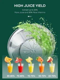 Juicer Machines, HOUSNAT Juicer Whole Fruit And Vegetables With 3-Speed Setting, Upgraded Version 400 W Motor Quick Juicing, Cleaning Brush And Juicing Recipe Included -Appliantrix Cheap Store 71tQnRUK SL. AC SL1500