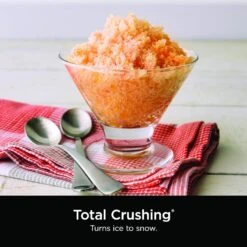 Ninja Mega Kitchen System 16 Ninja Mega Kitchen System -Appliantrix Cheap Store 918b1un6DYL. AC SL1500